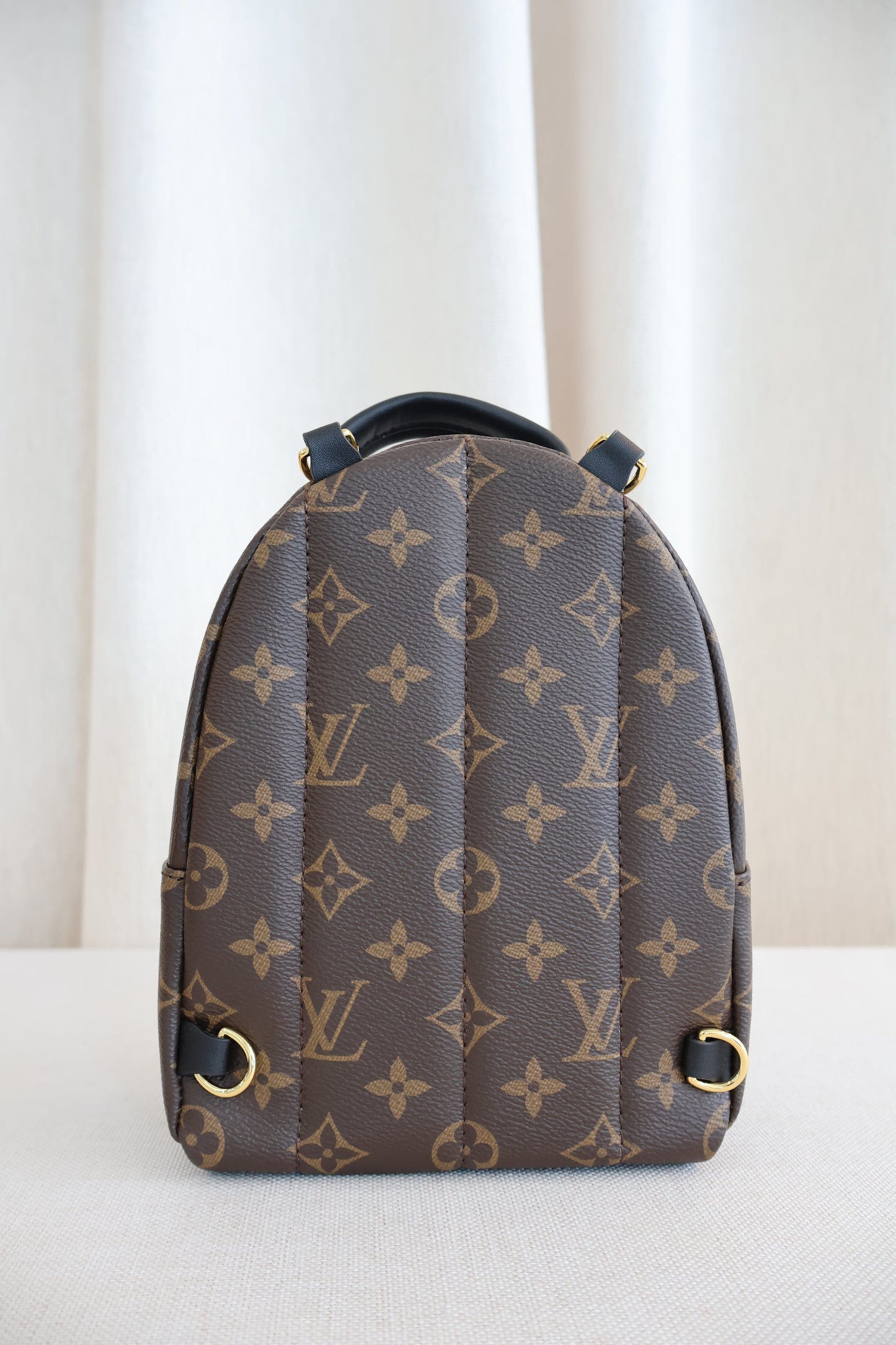 Louis Vuitton Palm Springs Backpack (Whatsapp for Price & Grade)